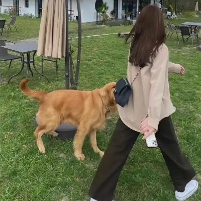 环环相扣